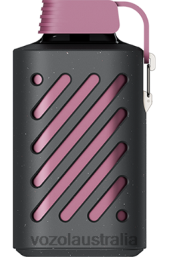 VOZOL GEAR 10000 PASSION FRUIT RASPBERRY TANGERINE - 242TL300 VOZOL Flavors List