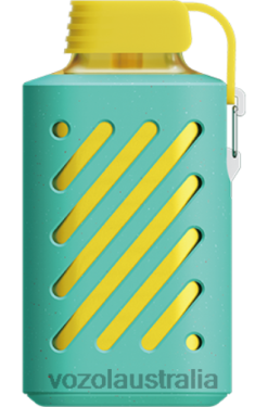 VOZOL GEAR 10000 RASPBERRY WATERMELON - 242TL306 VOZOL Flavors List