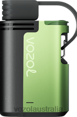 VOZOL GEAR 4000C/6000 COOL MINT - 242TL323 VOZOL Flavors Review