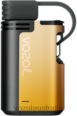 VOZOL GEAR 4000C/6000 MANGO PASSION FRUIT - 242TL327 VOZOL Vape Review