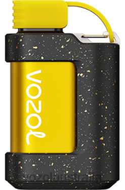 VOZOL GEAR 7000 KIWI PASSION FRUIT GUAVA - 242TL335 VOZOL Flavors Review