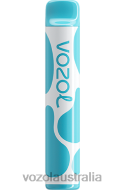 VOZOL JOYGO 600 BLUEBERRY SOUR RASPBERRY - 242TL377 VOZOL Flavors Review