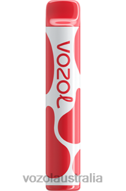 VOZOL JOYGO 600 CHERRY ICE - 242TL378 VOZOL Flavors List