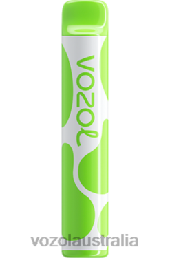 VOZOL JOYGO 600 KIWI PASSION FRUIT GUAVA - 242TL382 VOZOL All Flavors
