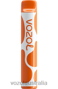 VOZOL JOYGO 600 LOVE 777 - 242TL384 VOZOL Flavors List