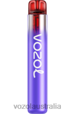 VOZOL NEON 800 BLACKBERRY ICE - 242TL282 VOZOL Flavors List