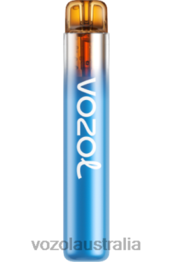 VOZOL NEON 800 Forest Berry Storm - 242TL270 VOZOL Flavors List