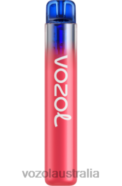 VOZOL NEON 800 STRAWBERRY CRANBERRY BUBBLE GUM - 242TL280 VOZOL All Flavors