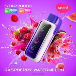VOZOL STAR 20000 RASPBERRY WATERMELON - 242TL414 VOZOL Flavors List