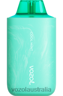 VOZOL STAR 6000/8000 V2 COOL MINT - 242TL57 VOZOL Vape Review