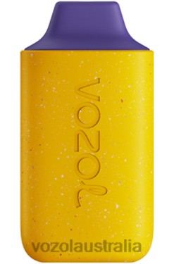 VOZOL STAR 6000 BLACKBERRY PASSION FRUIT MILK - 242TL105 VOZOL Vape Review
