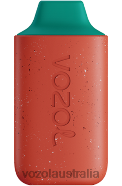 VOZOL STAR 6000 STRAWBERRY RASPBERRY - 242TL132 VOZOL Flavors List